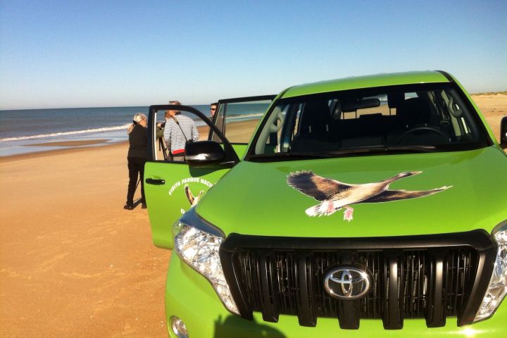 Coche verde en Matalascañas