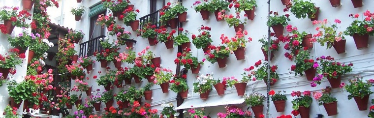 Patios de flores en Córdoba