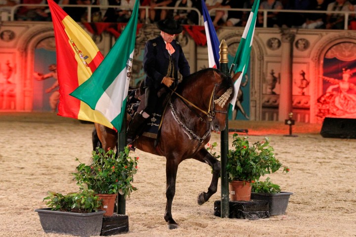 Real Escuela de Arte Ecuestre