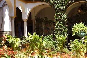 jardín típico andaluz