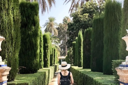 a statue in front of a tree